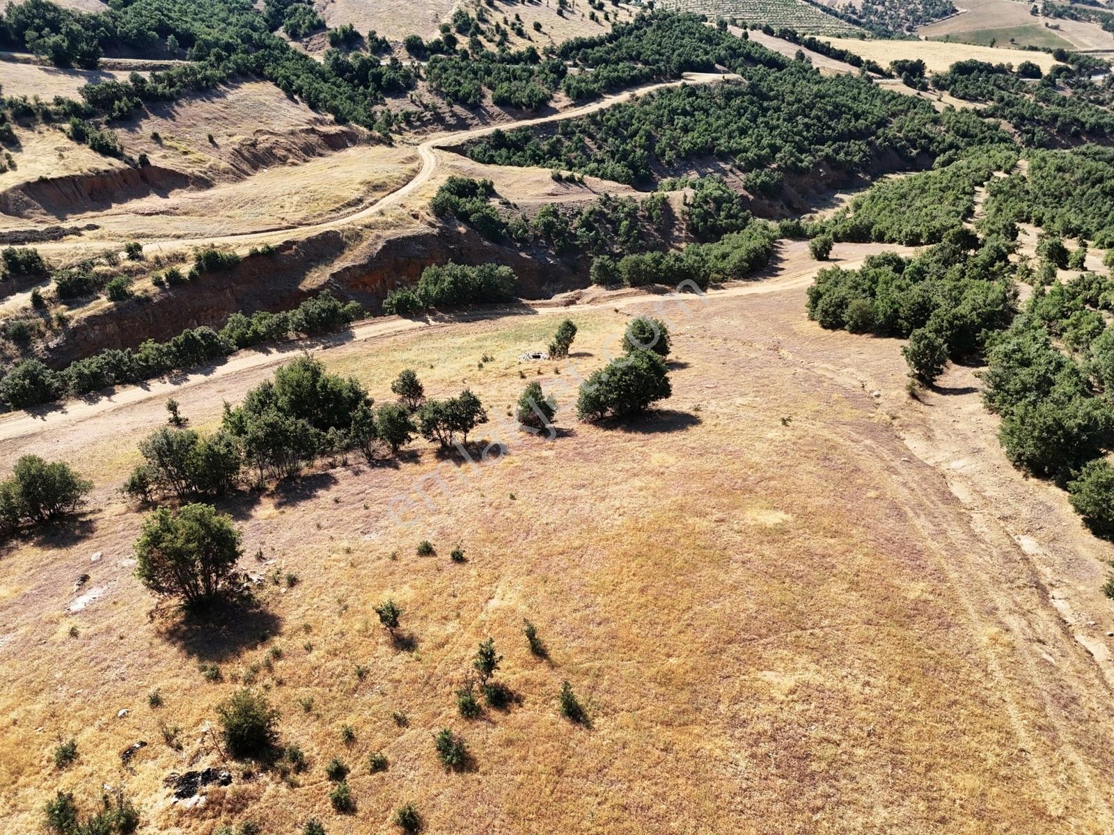 Kula'da Satılık 35552 M2 Tarla (video) - Görsel 26