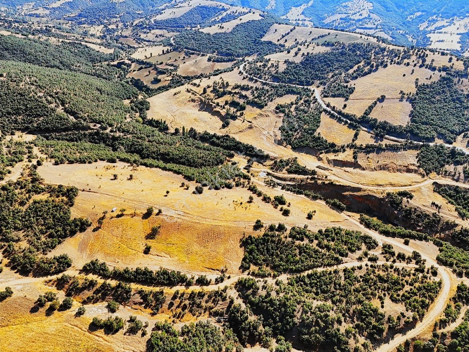 Kula'da Satılık 35552 M2 Tarla (video) - Görsel 16