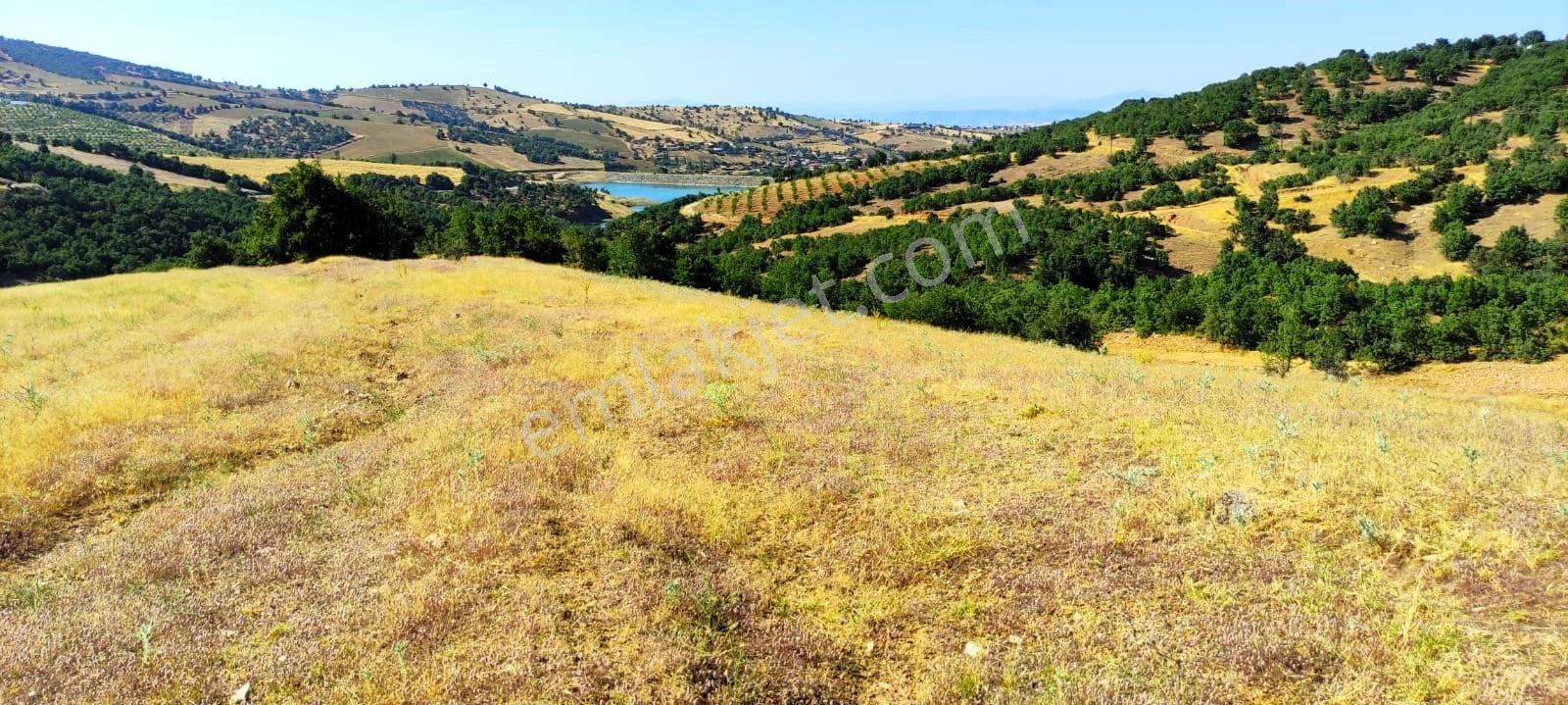 Kula'da Satılık 35552 M2 Tarla (video) - Görsel 8
