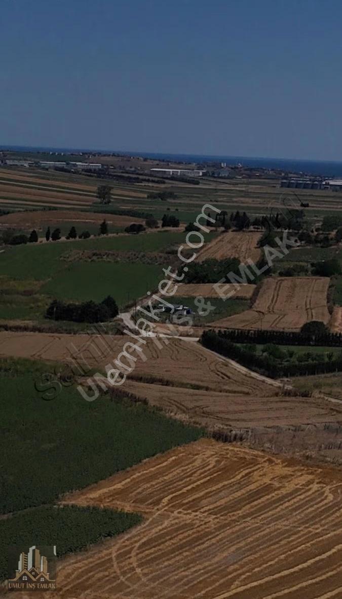 Yol Cepheli 320 M² Kare Arsa - Görsel 4