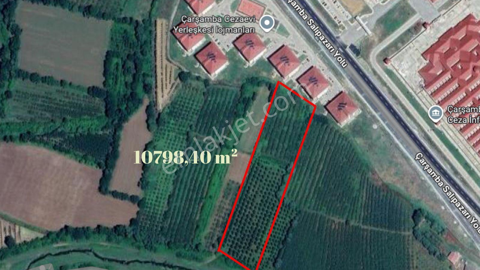Çarşamba Salıpazarı'nda 10.798 M² Tarla - Yatırım Fırsatı - Görsel 3