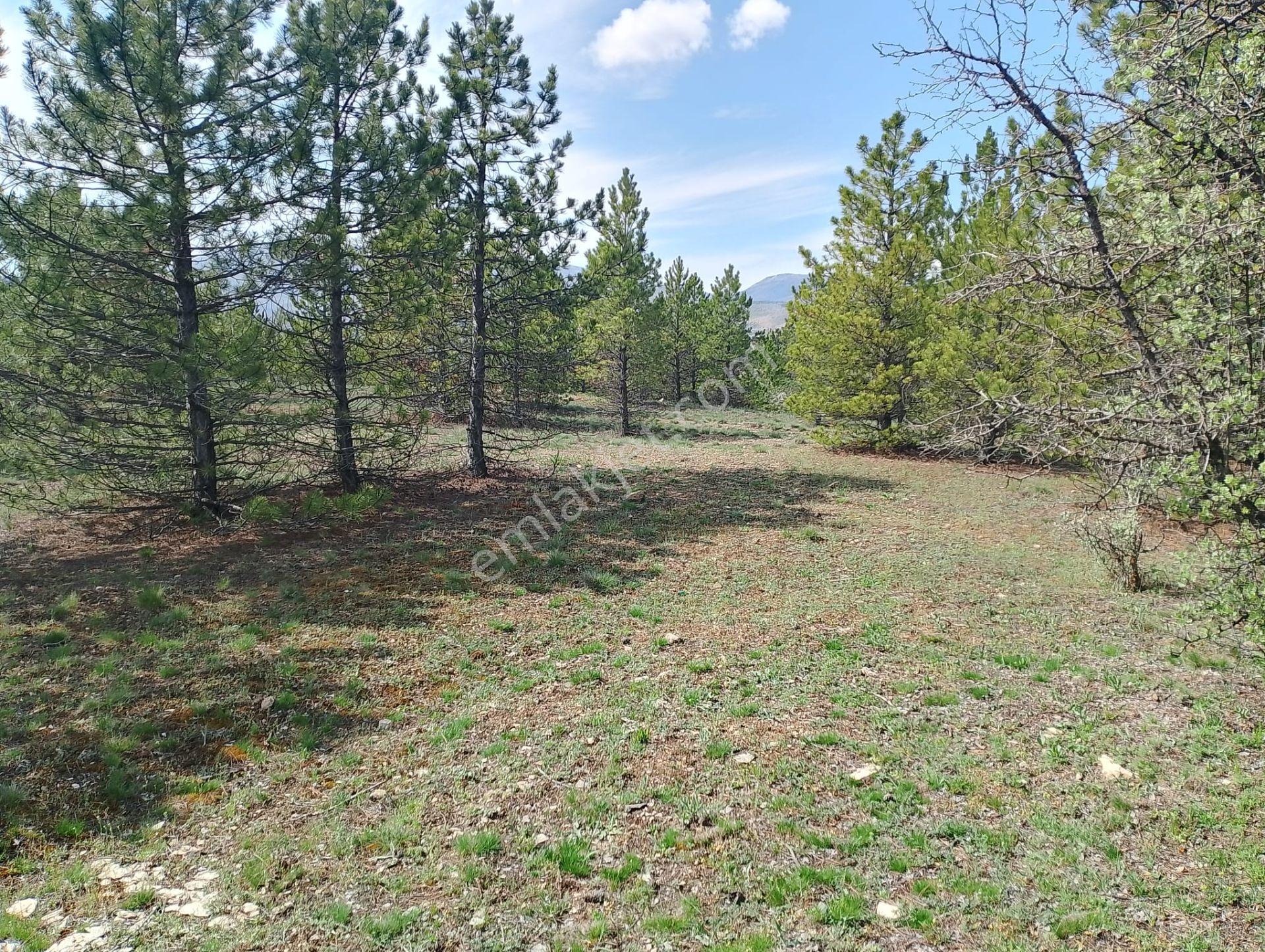 Altınapa'da Tepe Konumlu 2.305 M² Baraj Manzaralı, Yolu Açılmış Satılık Tarla - Görsel 2