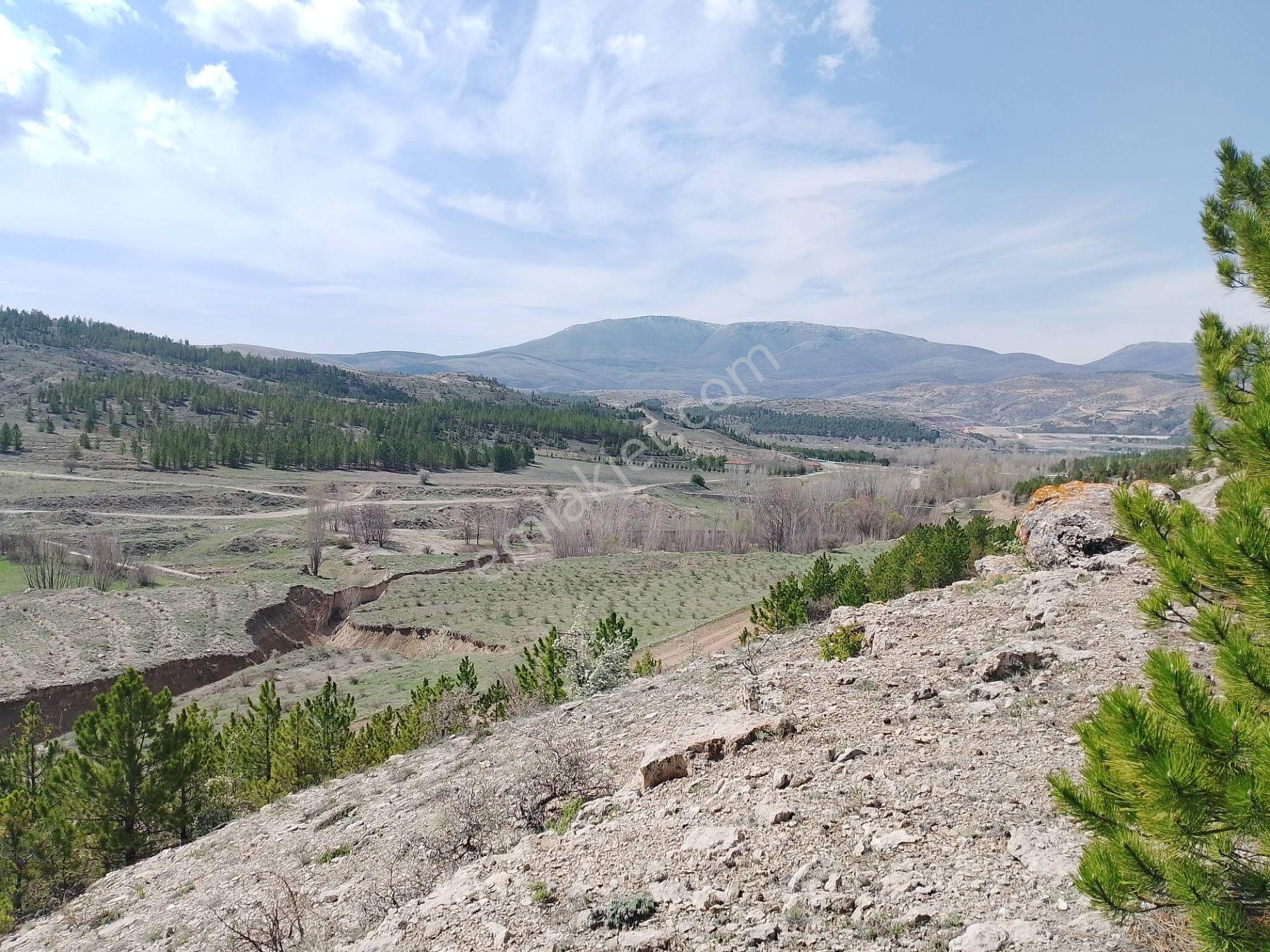 Altınapa'da Tepe Konumlu 2.305 M² Baraj Manzaralı, Yolu Açılmış Satılık Tarla - Görsel 17