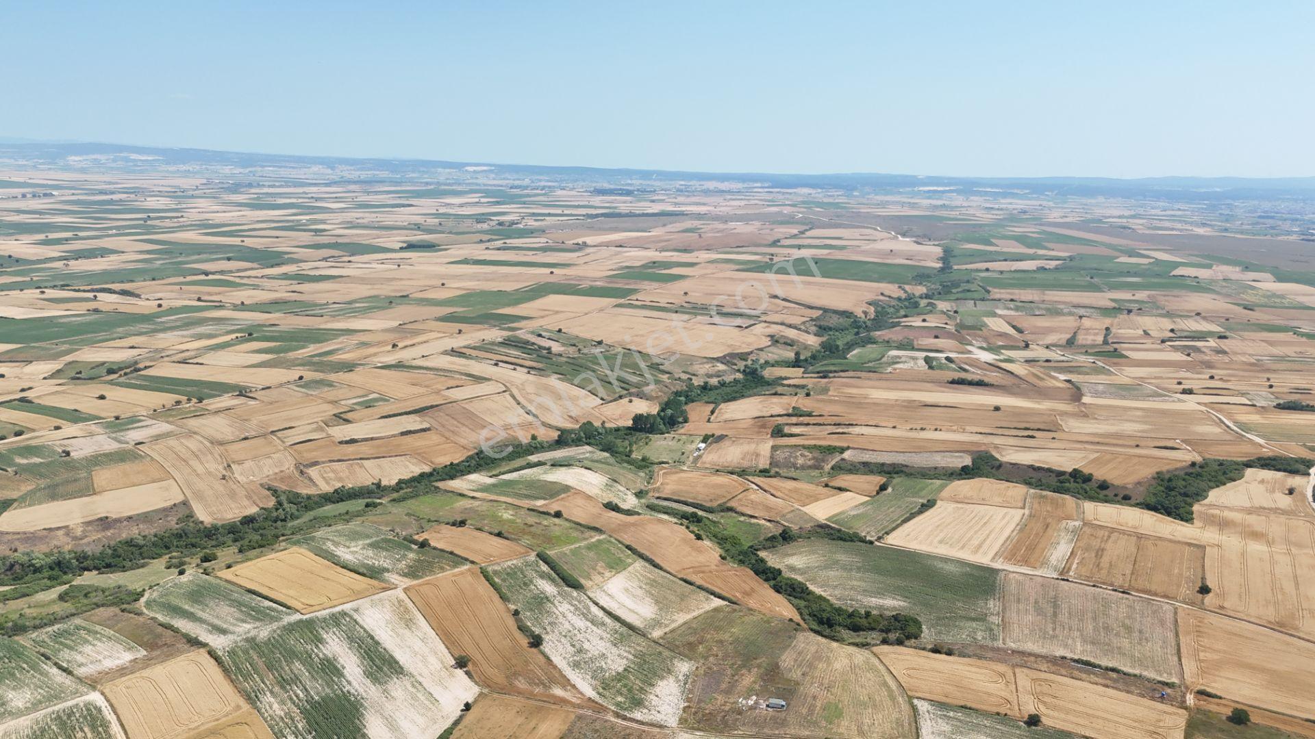 Tekirdağ Saray Kurtdere Mahallesi 8.200m2 Tek Tapu Tarla - Görsel 7