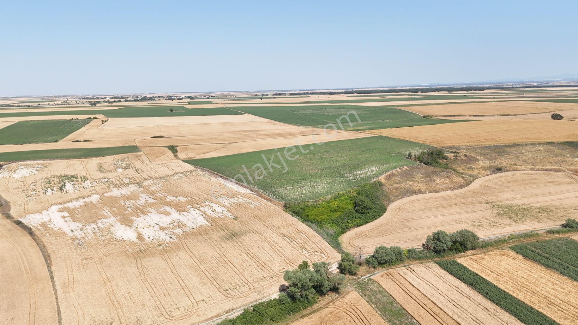 Tekirdağ Saray Demirler'de 8.700m2 Tek Tapu Tarla - Görsel 3