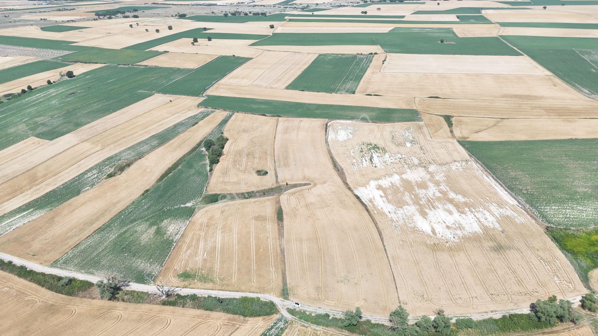 Tekirdağ Saray Demirler'de 8.700m2 Tek Tapu Tarla - Görsel 7