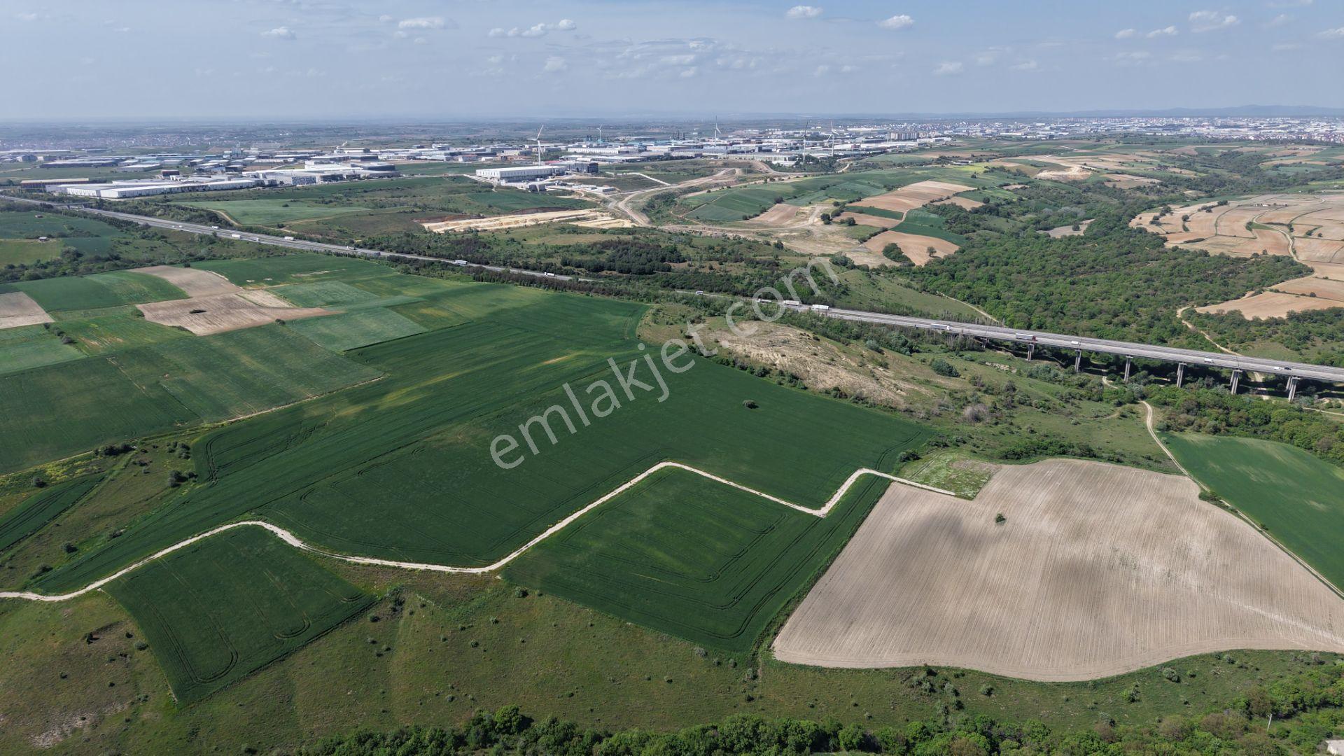 Çerkezköy Kızılpınar Otoyola Cephe 14.781m2 Tek Tapu Tarla - Görsel 7