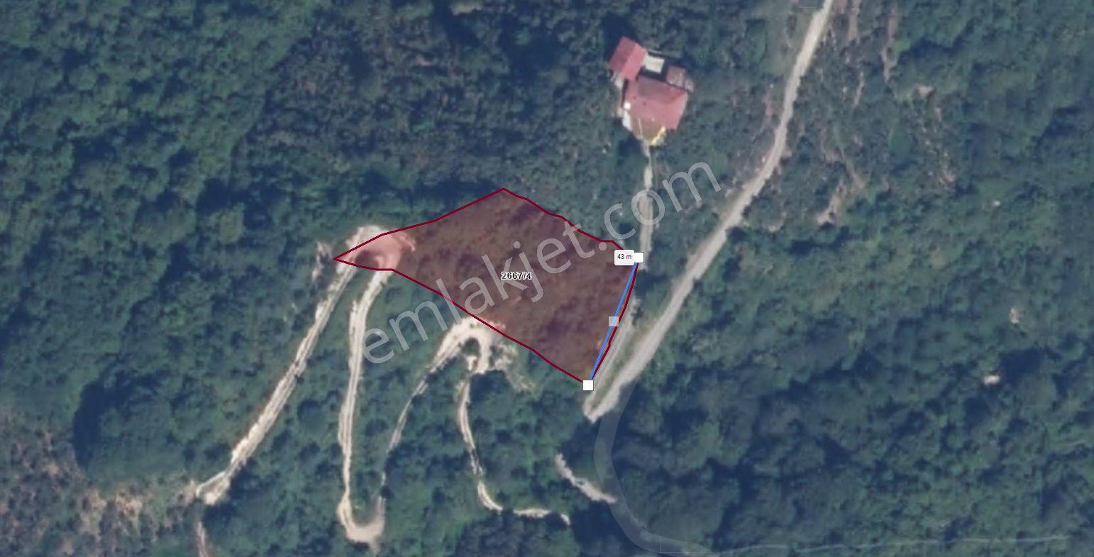 Trabzon Sürmene'de Satılık Arazi - Görsel 23