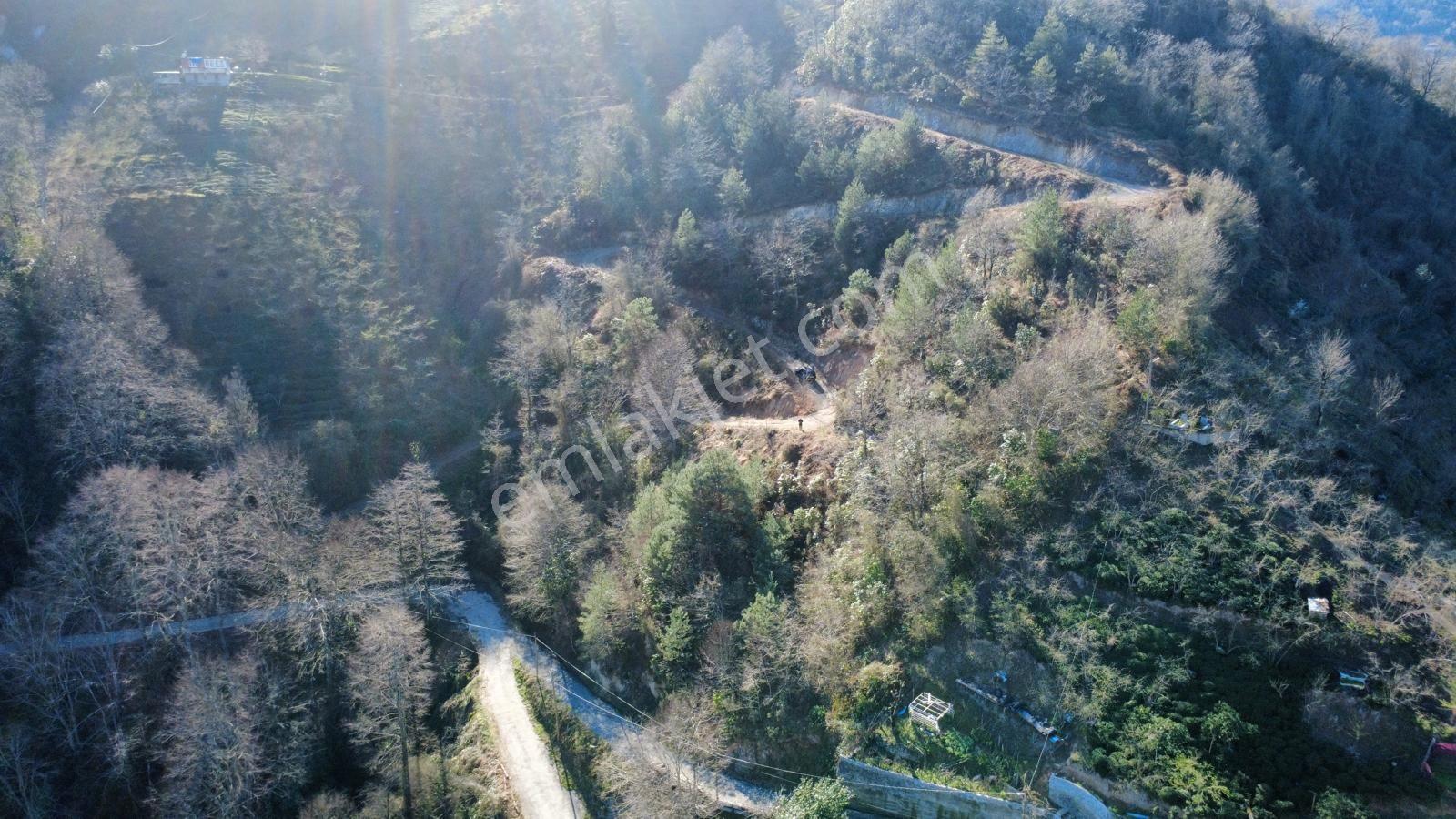 Trabzon Sürmene'de Satılık Arazi - Görsel 14