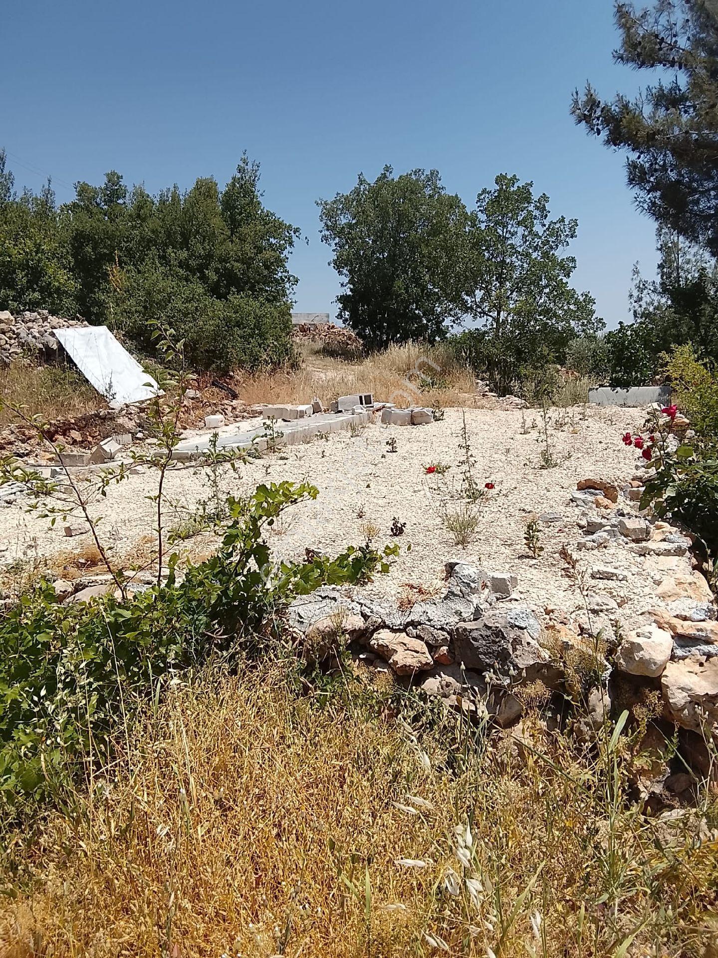 Akyol Gayrimenkul Den Satlık Sof Alcıda Bag Evlilik Arazi - Görsel 17