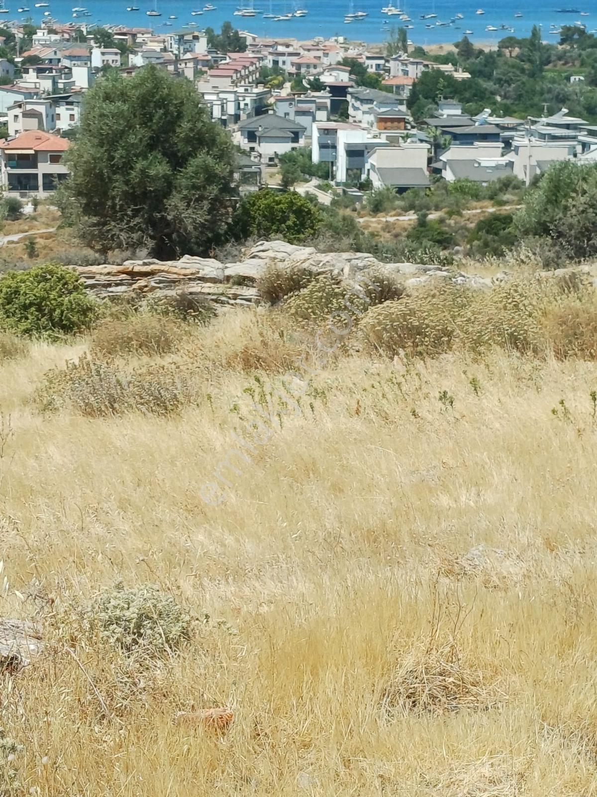 Sığacık'ta Deniz Ve Doğa Manzaralı 5 Villalık Arsa - Görsel 9