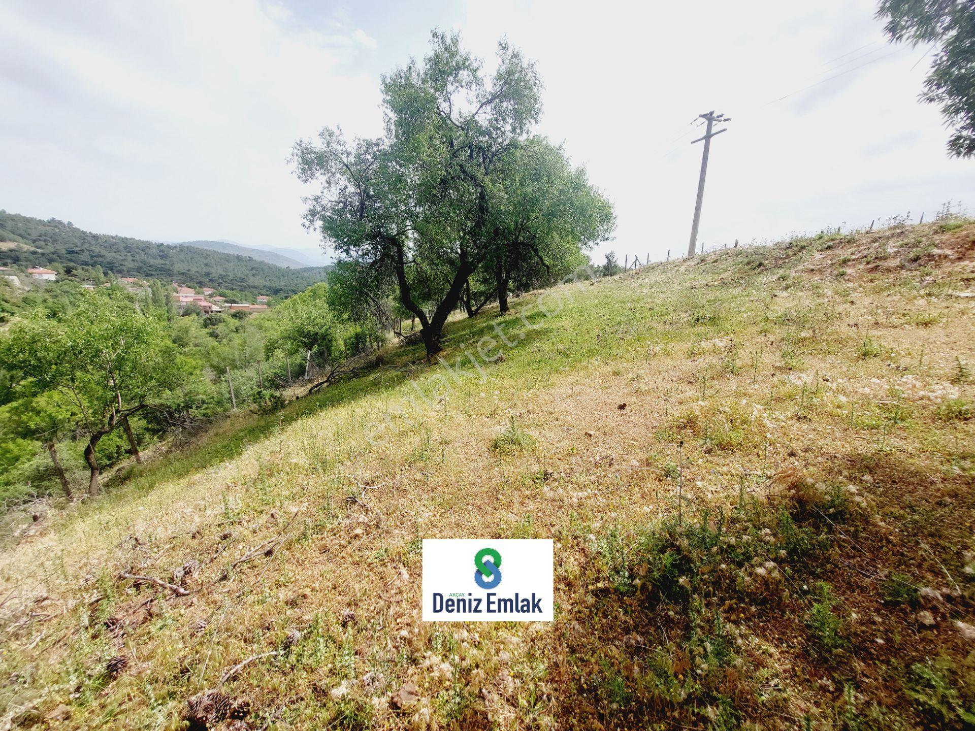 Denizden Havranda 1014 M2 Doğa İle İç İçe Satılık Yatırımlık Bahçe. - Görsel 7