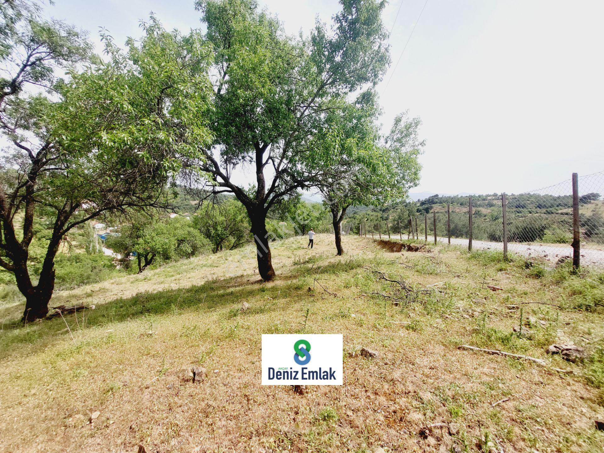 Denizden Havranda 1014 M2 Doğa İle İç İçe Satılık Yatırımlık Bahçe. - Görsel 2