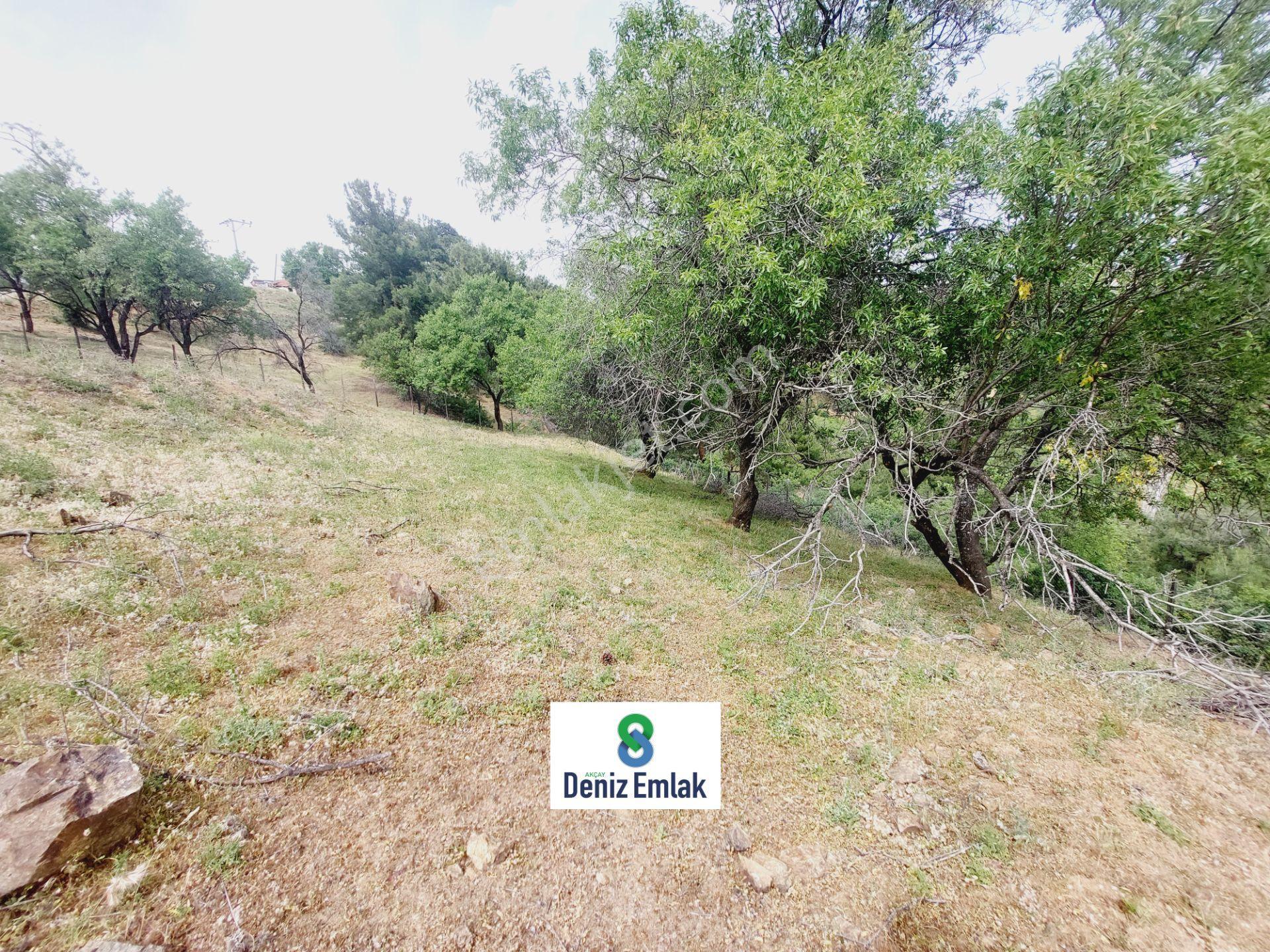 Denizden Havranda 1014 M2 Doğa İle İç İçe Satılık Yatırımlık Bahçe. - Görsel 9