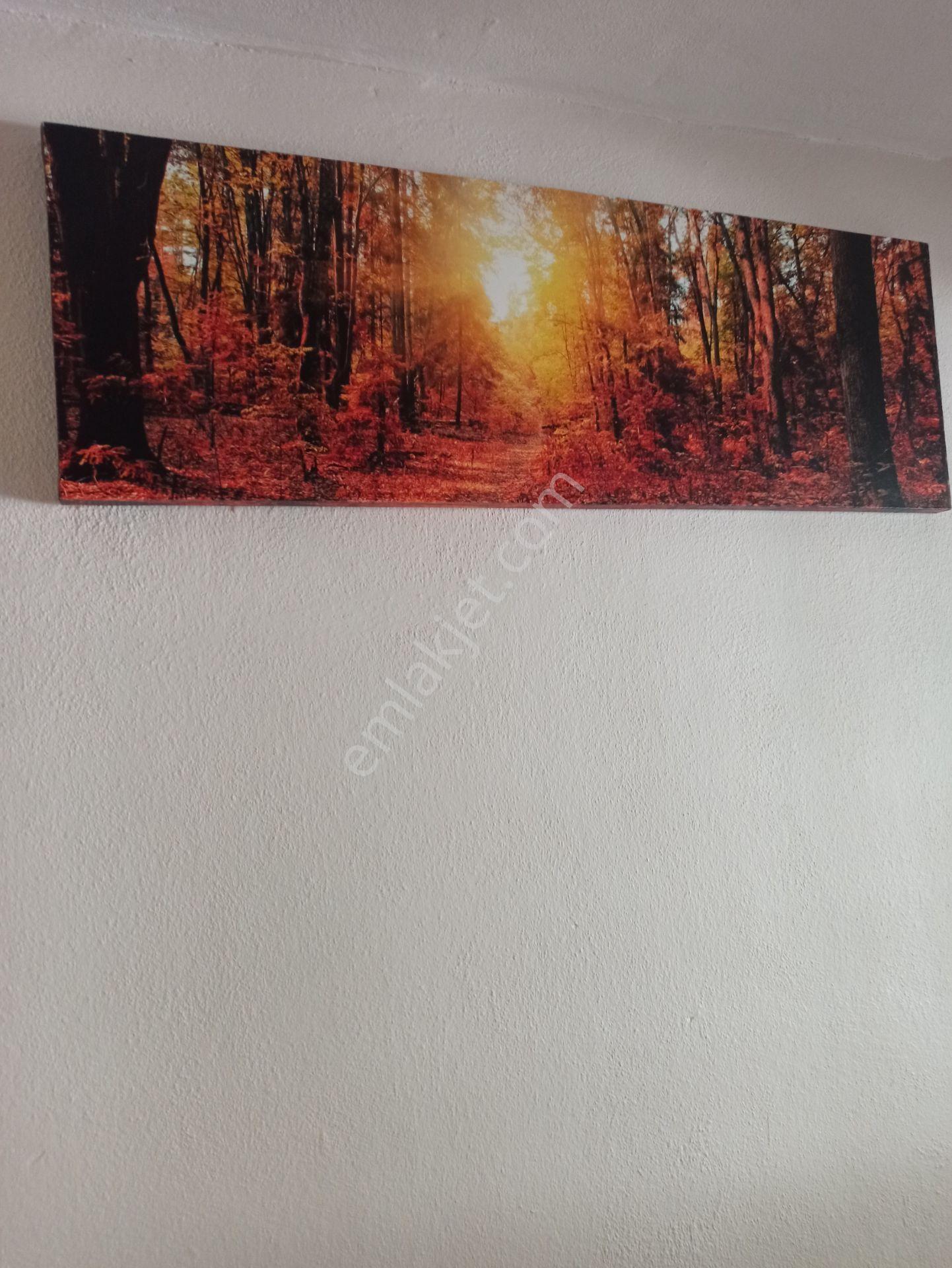 Memura,bekara Uygun Eşyalı Kiralık Daire - Görsel 9
