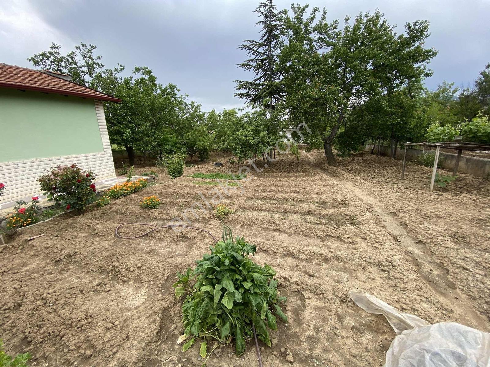 Kalecik'te 996 M² Cennet Gibi Bahçeli (3+1) Müstakil Ev & Bağ - Görsel 6