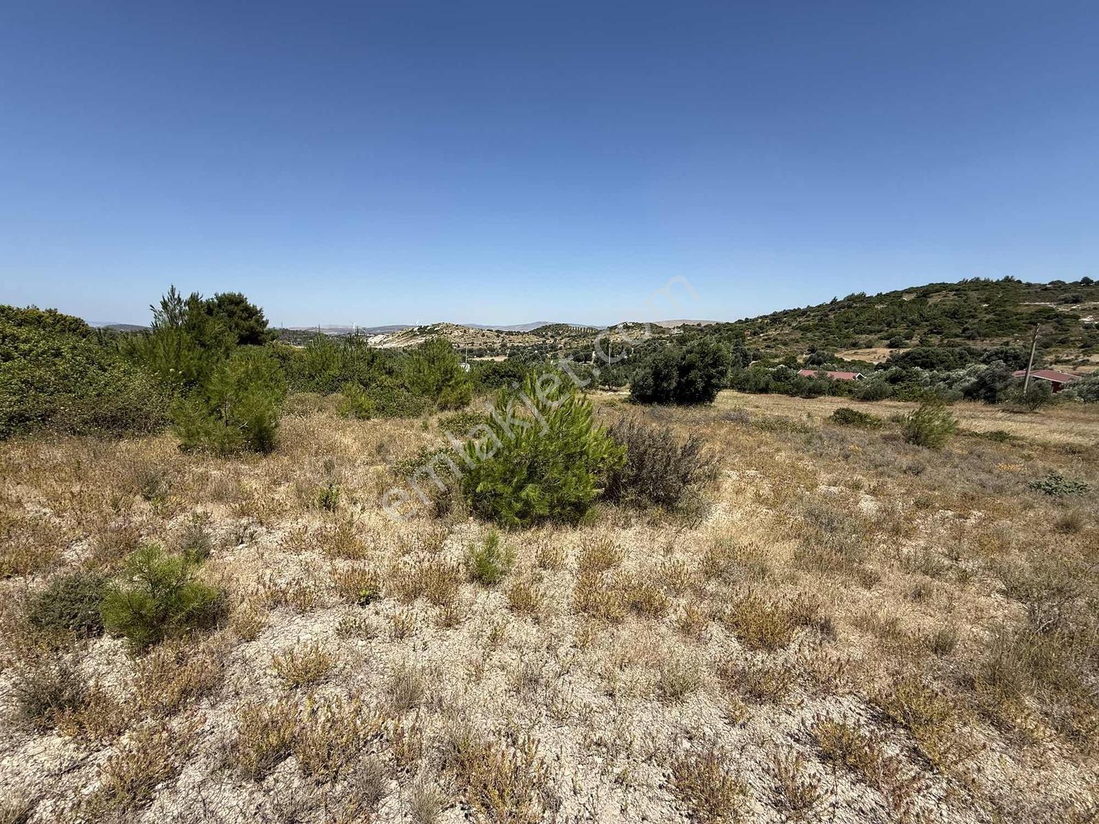 Alaçatı Kerimoğlu Mevkii Müstakil Tapu 5340 M2 Satılık Tarla - Görsel 8