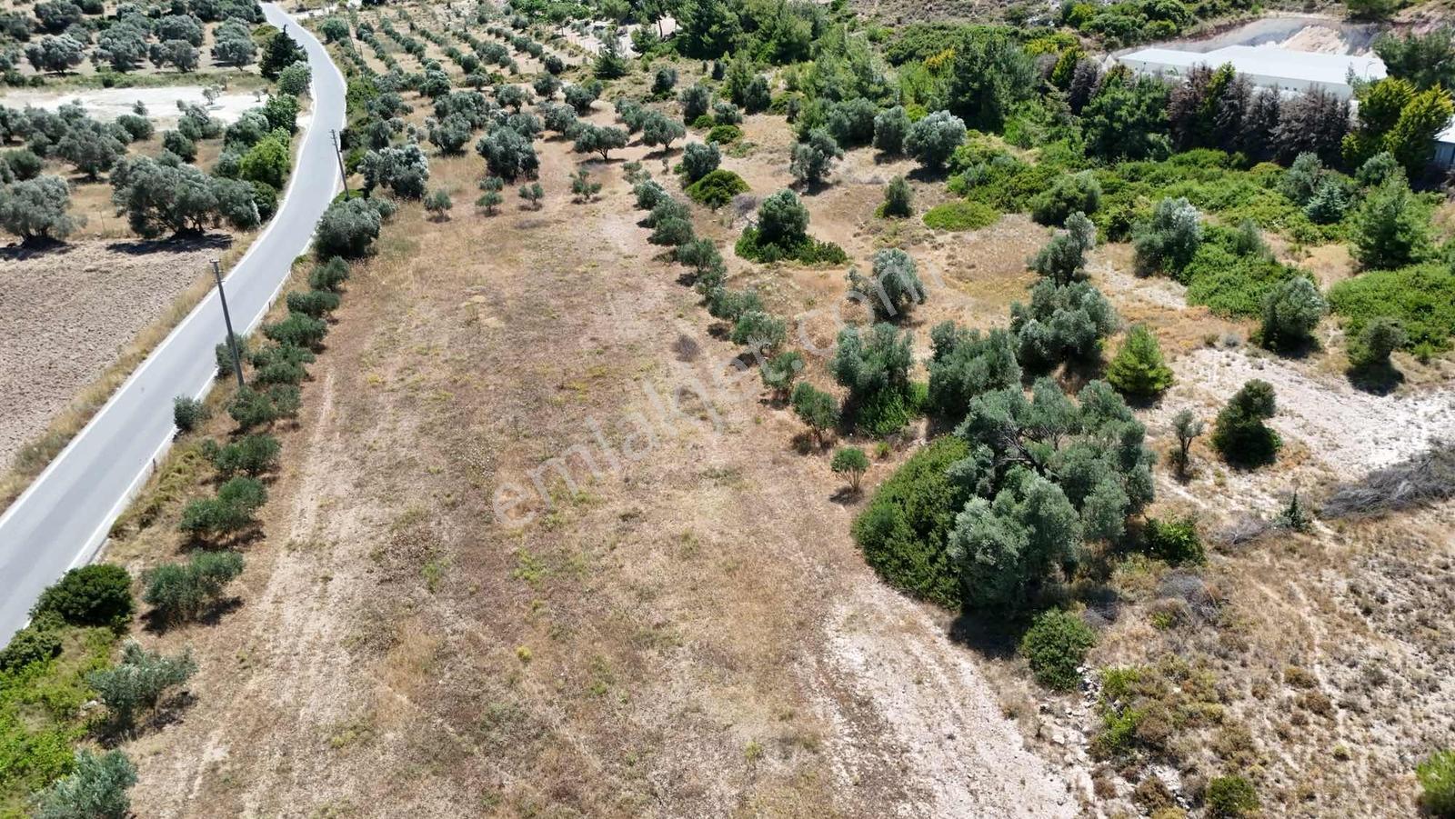 Alaçatı Kerimoğlu Mevkii Müstakil Tapu 5340 M2 Satılık Tarla - Görsel 23