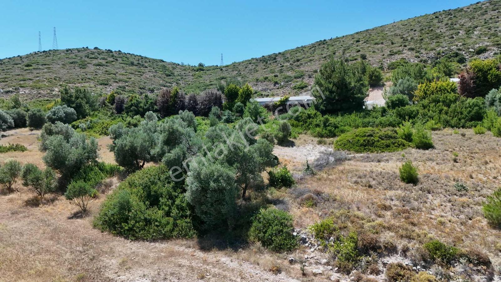 Alaçatı Kerimoğlu Mevkii Müstakil Tapu 5340 M2 Satılık Tarla - Görsel 20