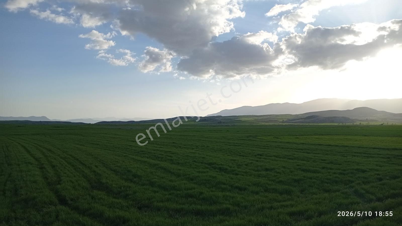 Kırkpınarda 3123m2 Tarla - Görsel 7