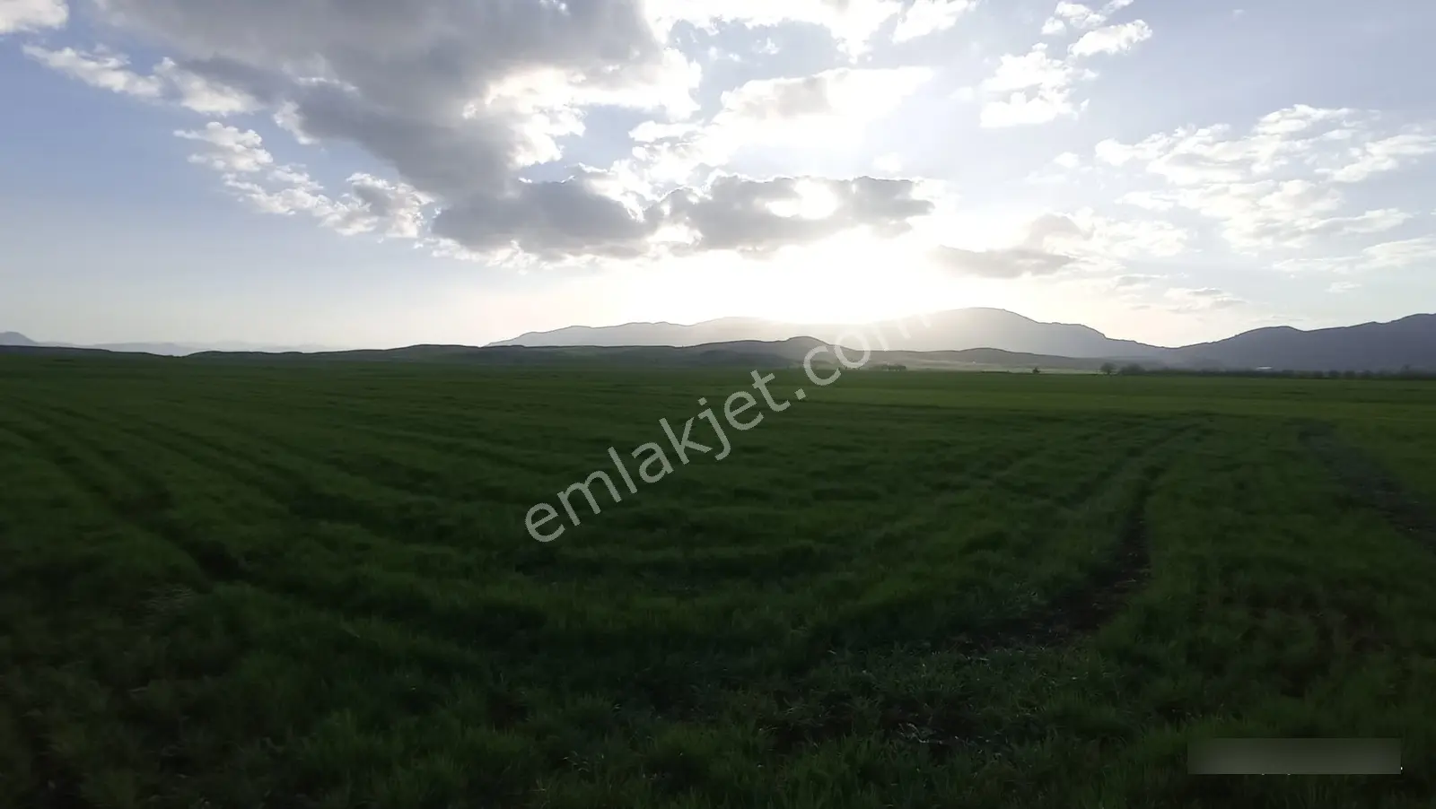 Kırkpınarda 3123m2 Tarla - Görsel 13