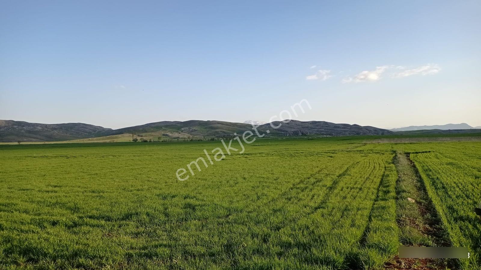Kırkpınarda 3123m2 Tarla - Görsel 5