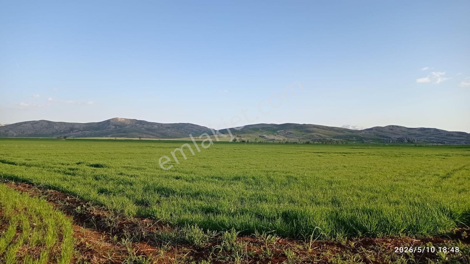 Kırkpınarda 3123m2 Tarla
