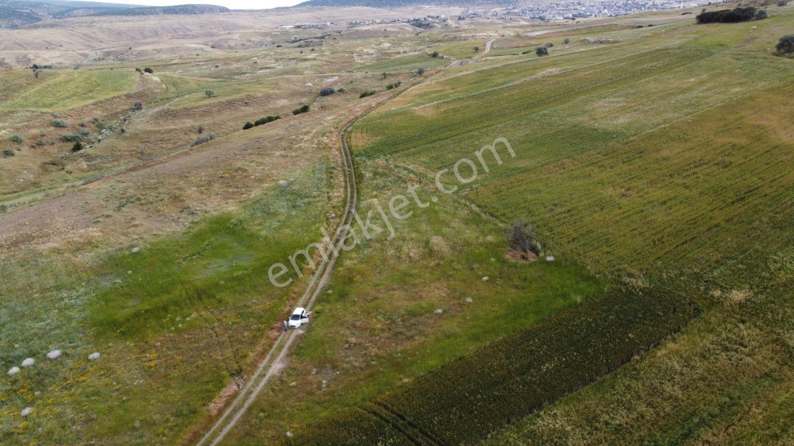 Asfalt Gibi Yola Cepeli İki Yerleşim Arasinda Mükemmel Arazi - Görsel 7