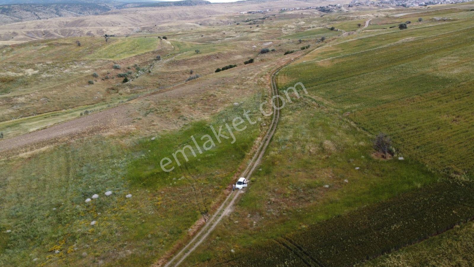 Asfalt Gibi Yola Cepeli İki Yerleşim Arasinda Mükemmel Arazi - Görsel 3