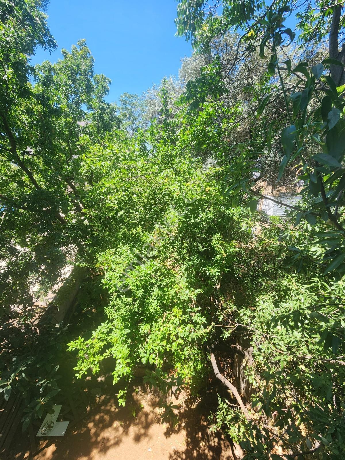 Muratpaşa Kışla Mah Ordu Evi Arkası 1+1 Satılık Daire - Görsel 29