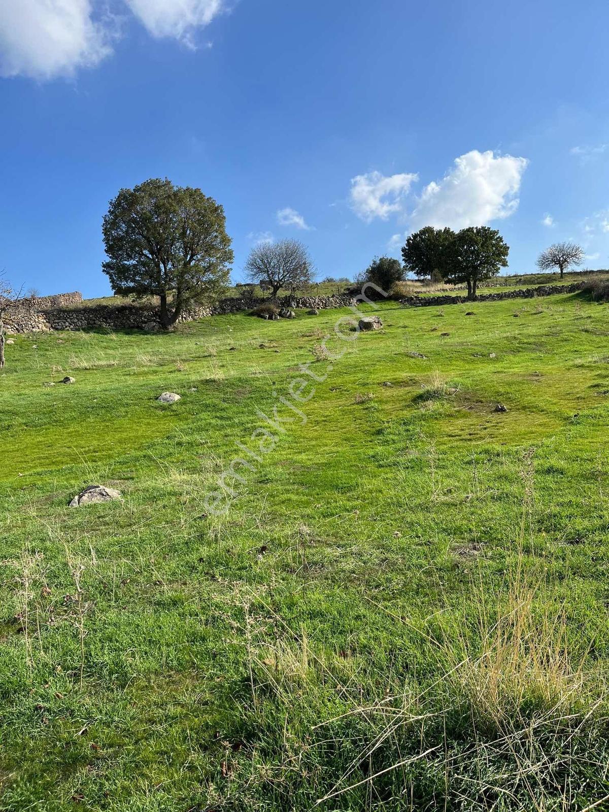 Manisa Dazyurt Mah Köyün Yanında 2600 M2 Satılık Fırsat Arazi - Görsel 12
