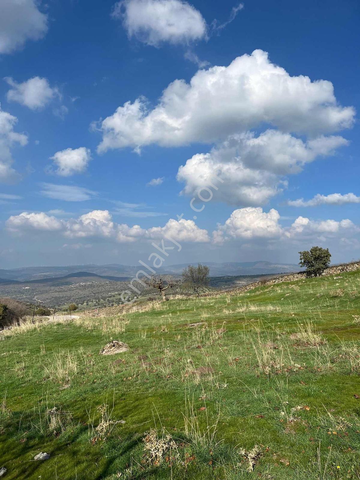 Manisa Dazyurt Mah Köyün Yanında 2600 M2 Satılık Fırsat Arazi - Görsel 3