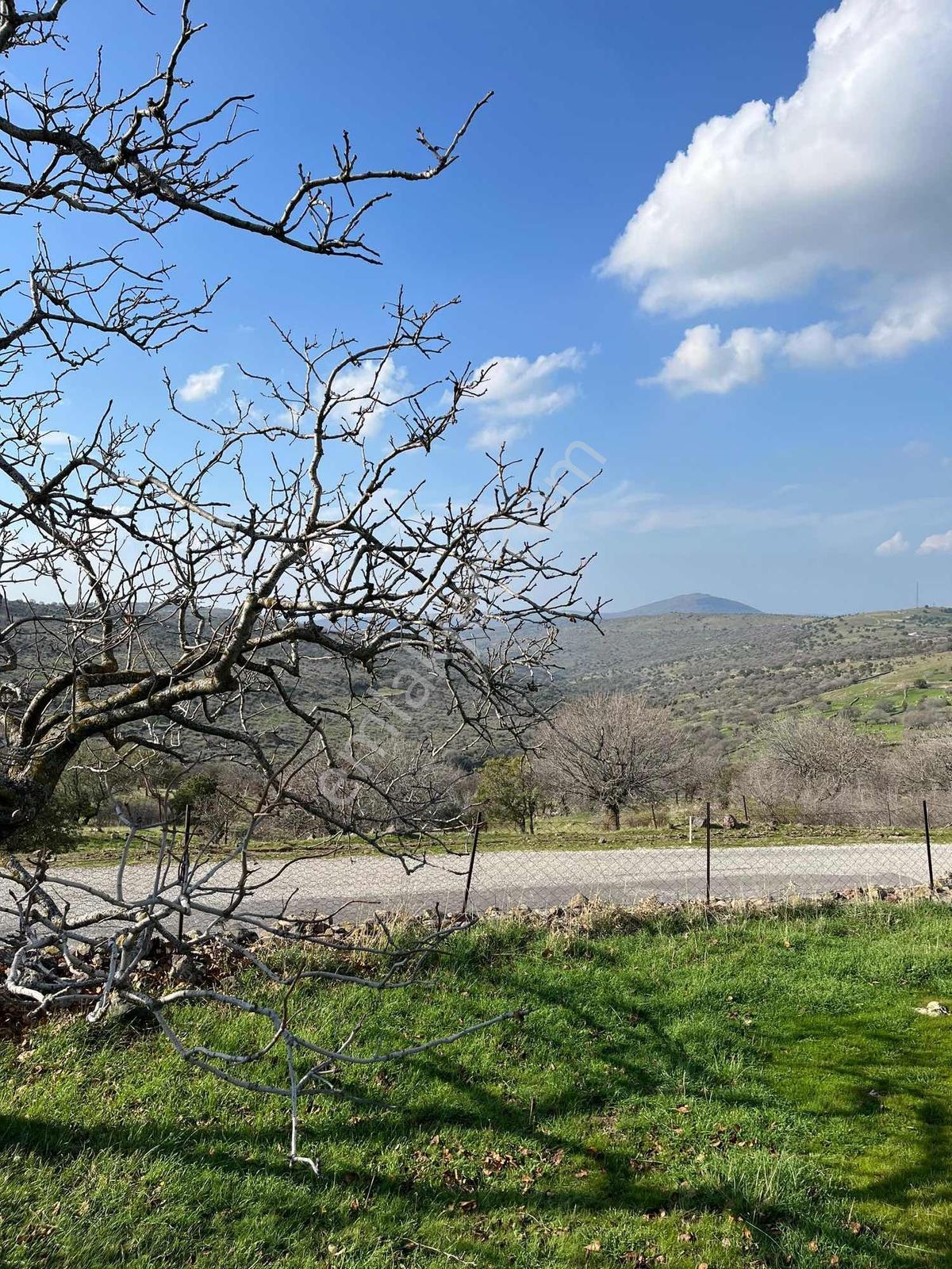 Manisa Dazyurt Mah Köyün Yanında 2600 M2 Satılık Fırsat Arazi - Görsel 13