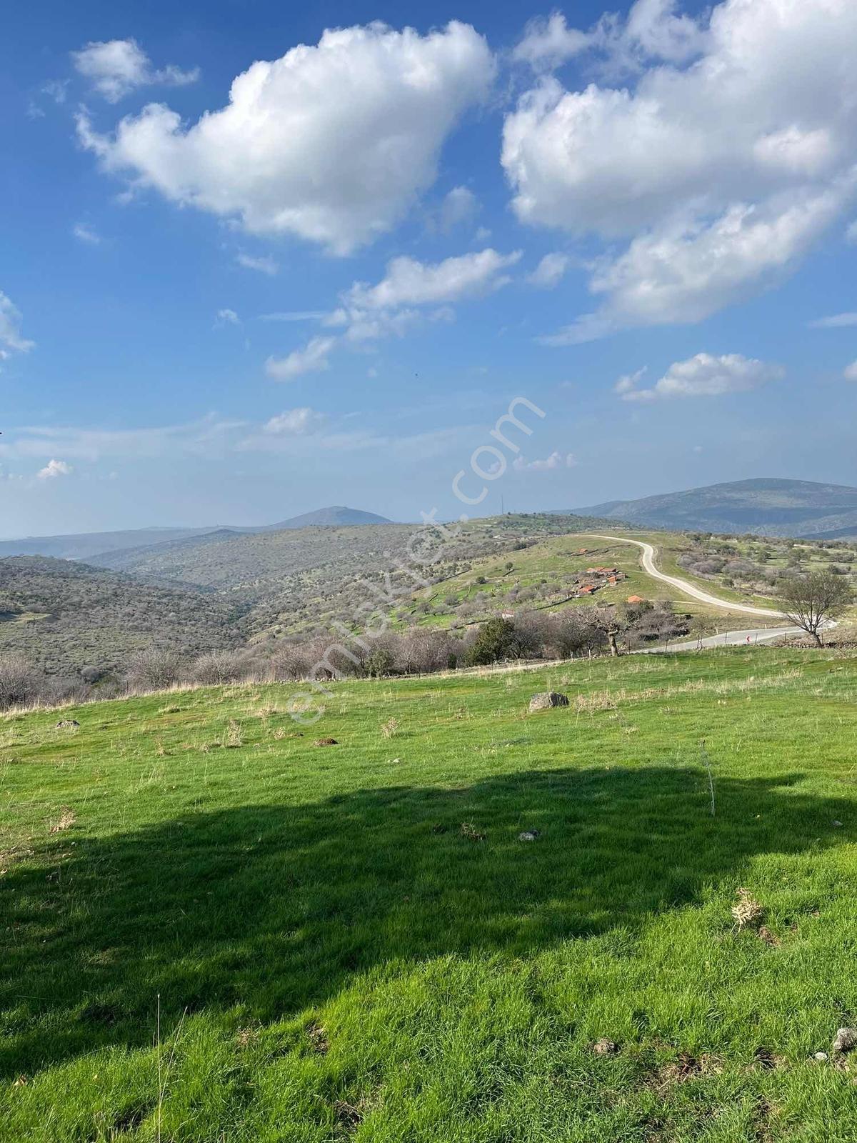 Manisa Dazyurt Mah Köyün Yanında 2600 M2 Satılık Fırsat Arazi - Görsel 14