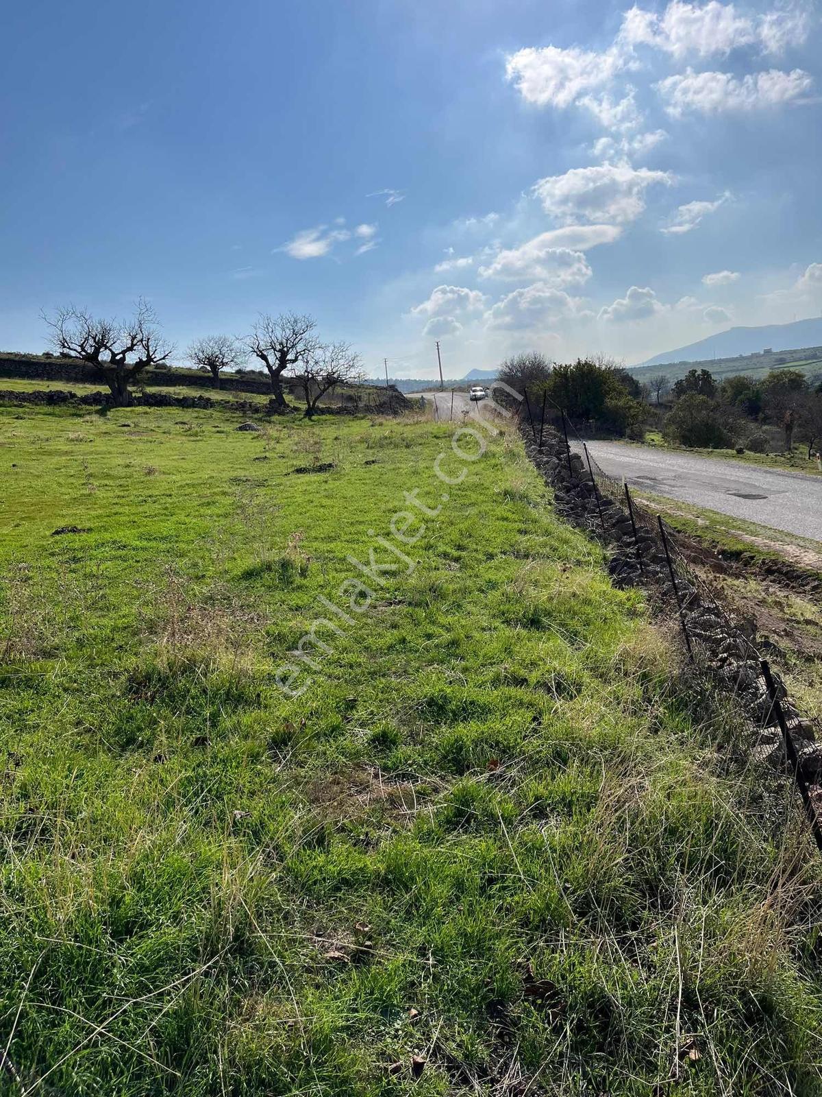 Manisa Dazyurt Mah Köyün Yanında 2600 M2 Satılık Fırsat Arazi - Görsel 6
