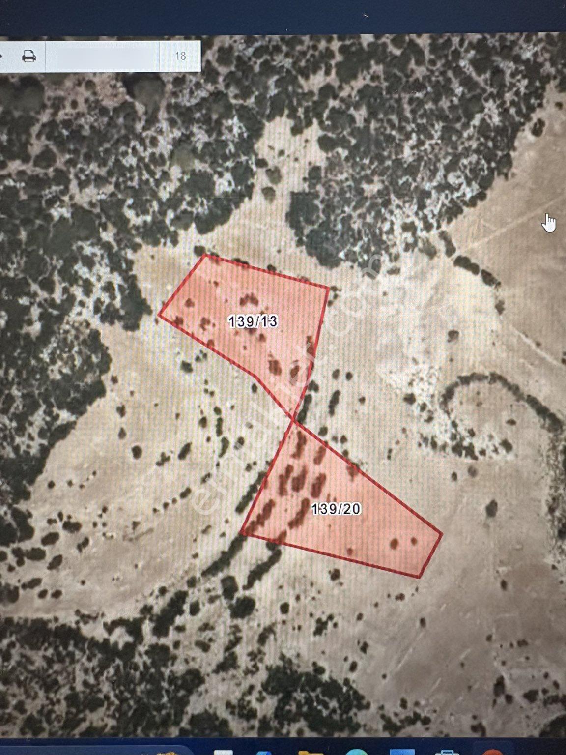 Kaş Yayla Palamut Da Satılık 3.350 M2 Tarla - Müstakil Parsel | Bu Fiyat Parsel 20 İçindir