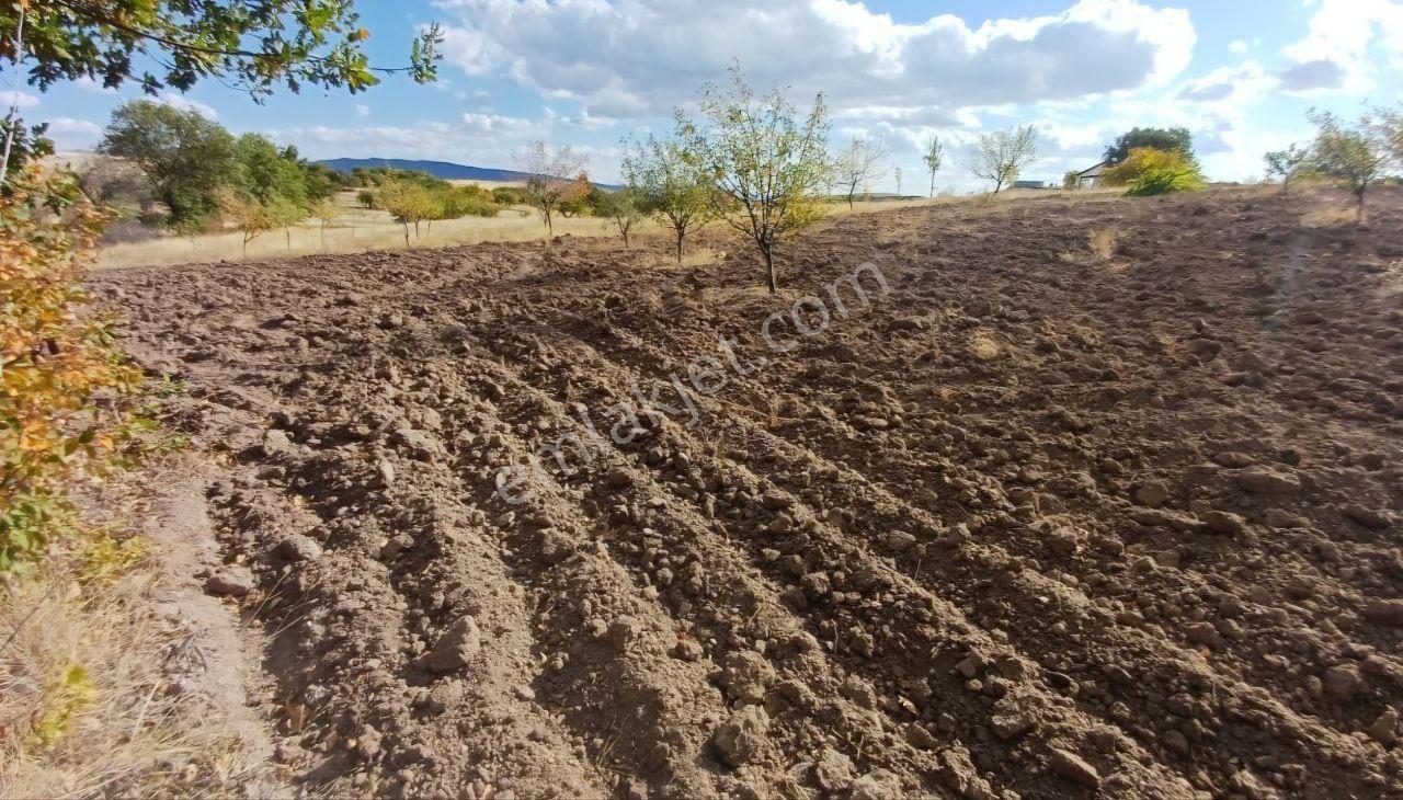 Kızılcıhamam'da 4390 M2 Satılık Bağçe - Görsel 24