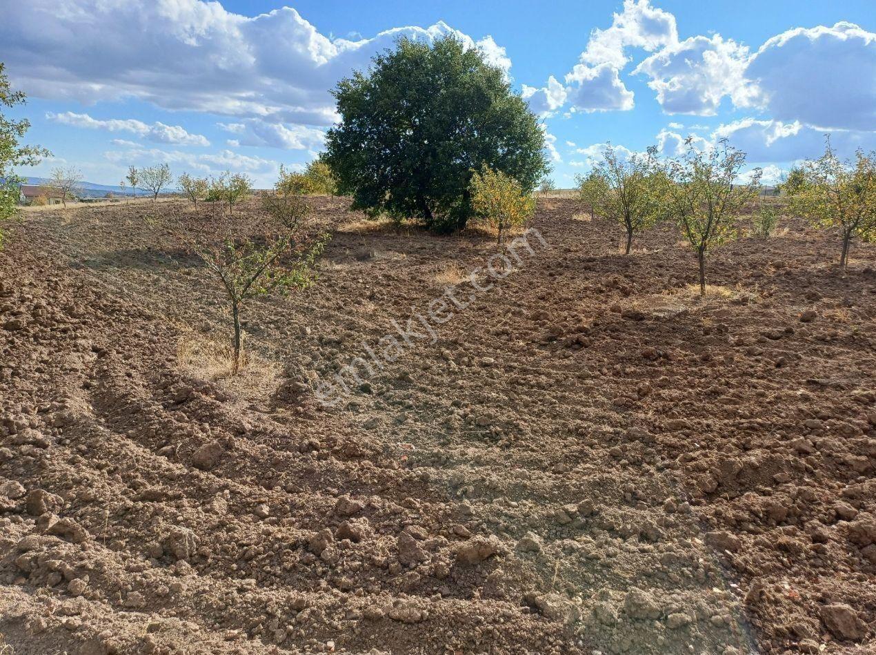 Kızılcıhamam'da 4390 M2 Satılık Bağçe - Görsel 20