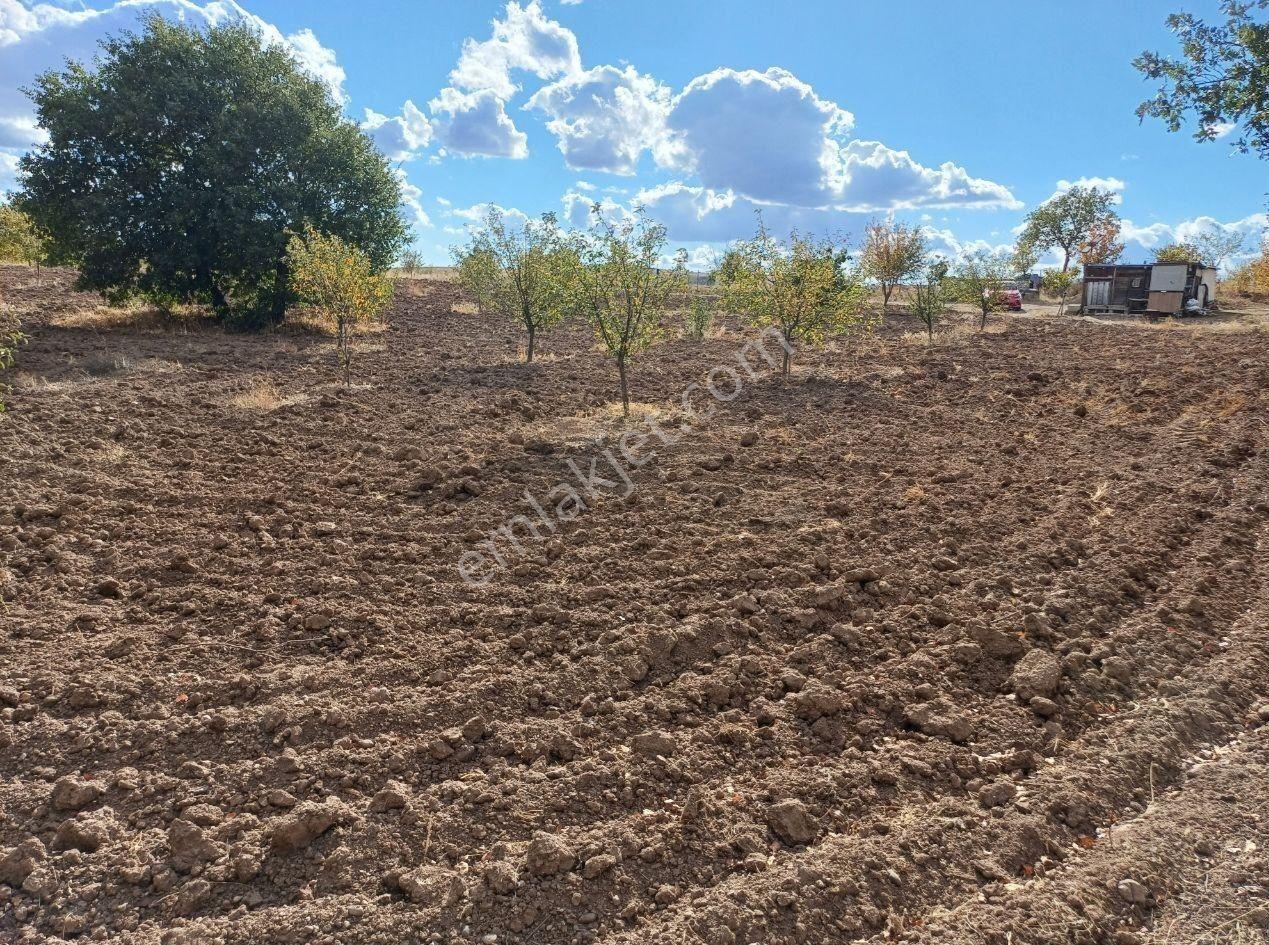Kızılcıhamam'da 4390 M2 Satılık Bağçe - Görsel 31