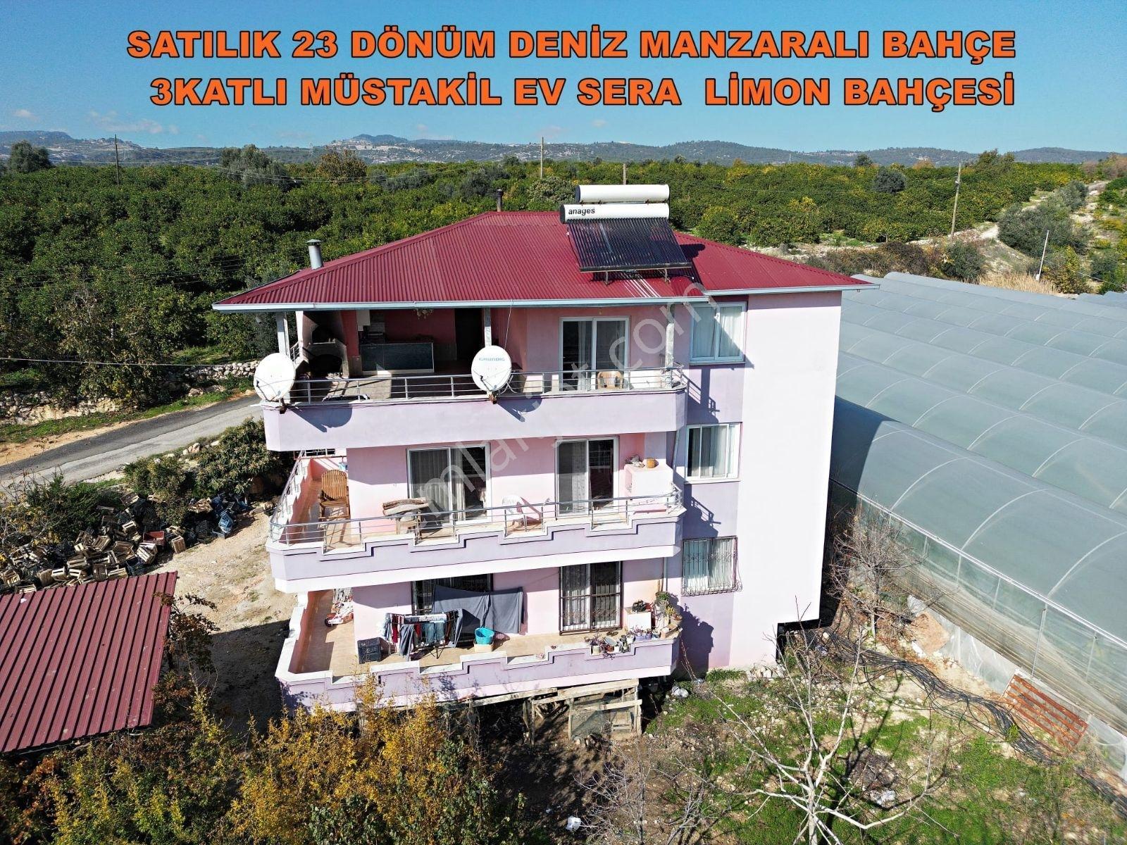 Acil Acill Elvan Lıda Kaçırılmayacak Kupon Limon Bahçesi Ve Sera - Görsel 3