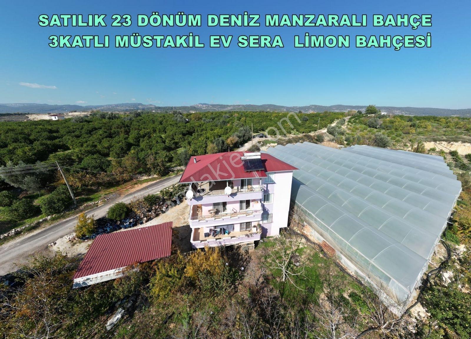 Acil Acill Elvan Lıda Kaçırılmayacak Kupon Limon Bahçesi Ve Sera - Görsel 2