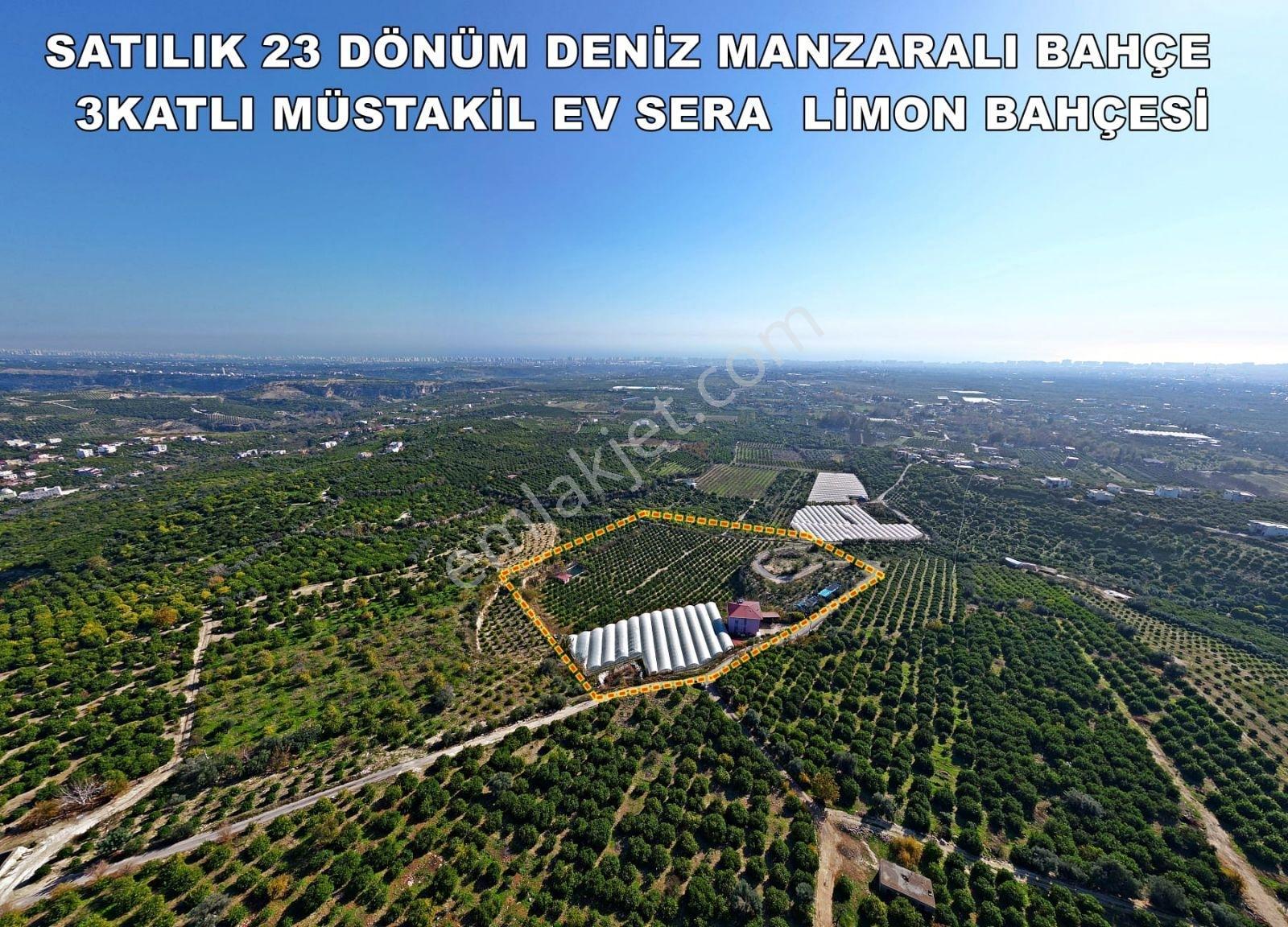 Acil Acill Elvan Lıda Kaçırılmayacak Kupon Limon Bahçesi Ve Sera - Görsel 9