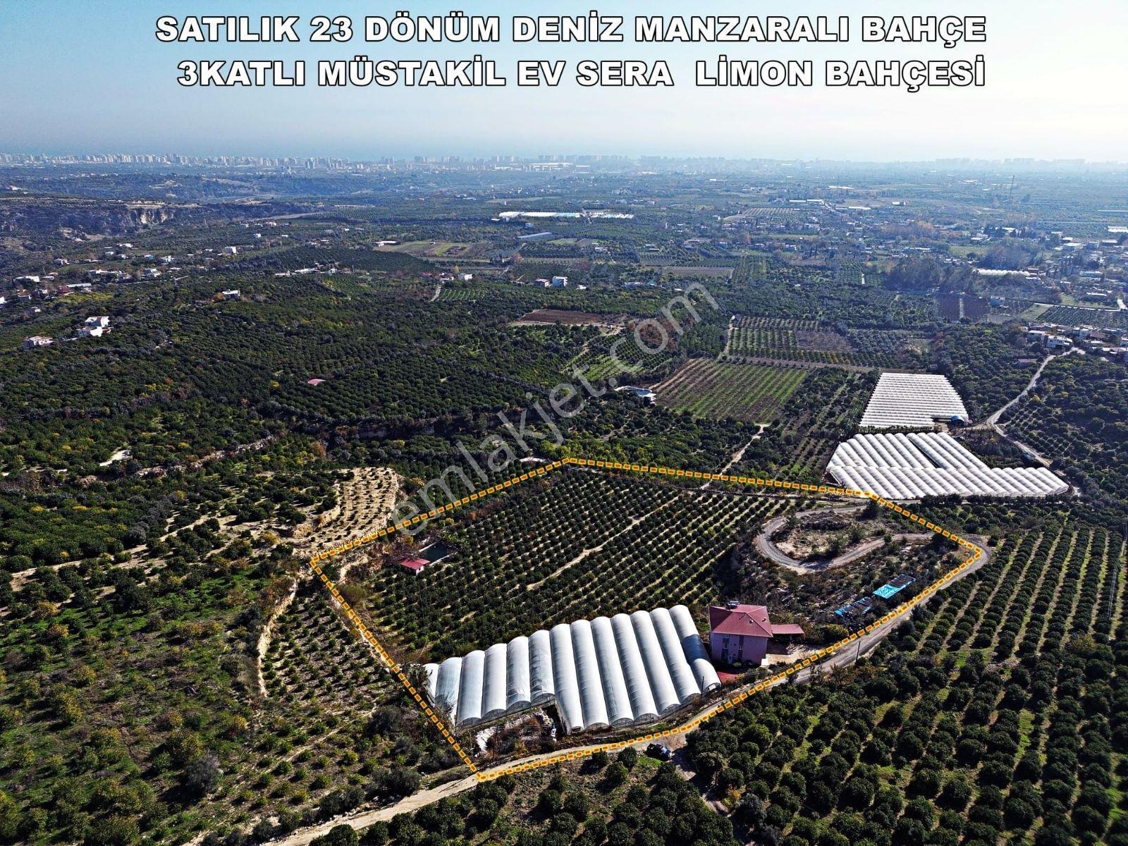 Acil Acill Elvan Lıda Kaçırılmayacak Kupon Limon Bahçesi Ve Sera - Görsel 8