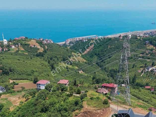 Turyap'tan Beşirliye 3,5 Km Satılık Tarla - Görsel 6