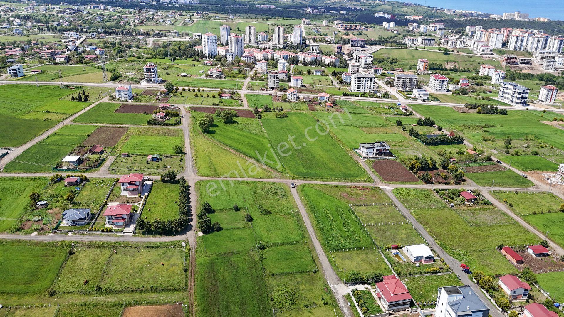 5 Kat 1.50 Emsal 10 Adet 2+1 Lik 534 M2 Satılık Arsa - Görsel 2