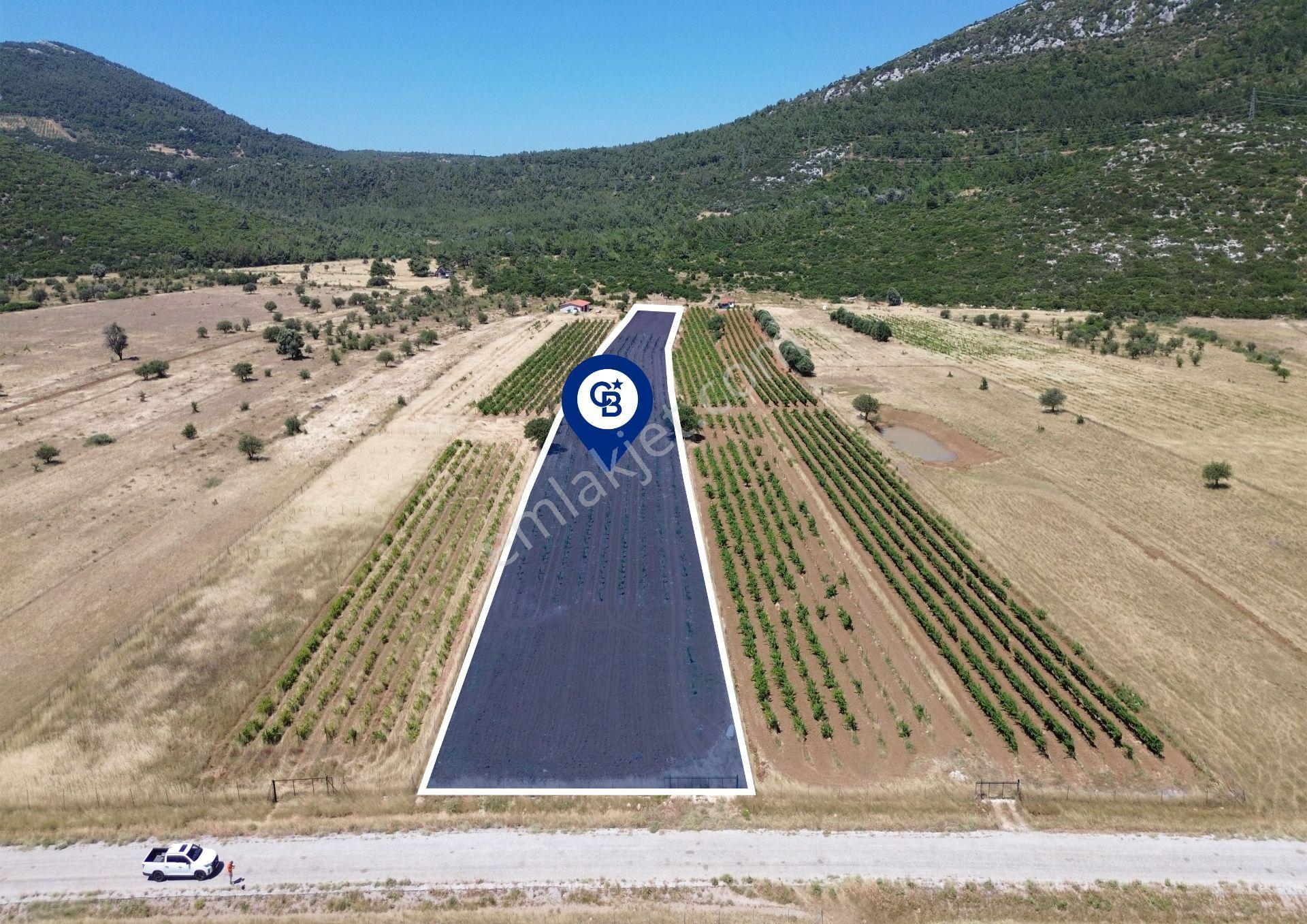Karaburun Eğlenhoca Mahallesi'nde 11.268 M² Satılık Bağ - Görsel 15