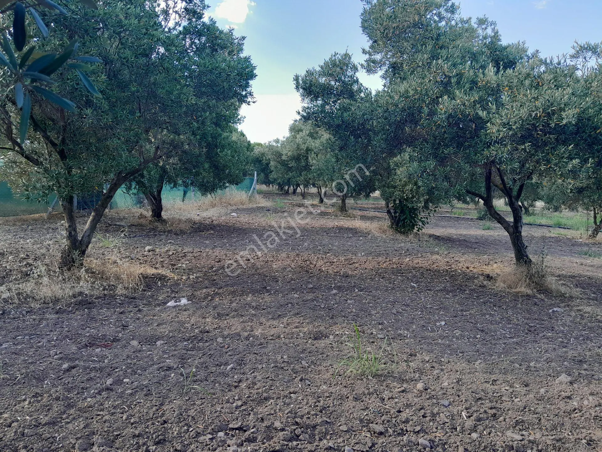 Manisa Yunusemre Bağyolu Satılık Arsa - Görsel 2