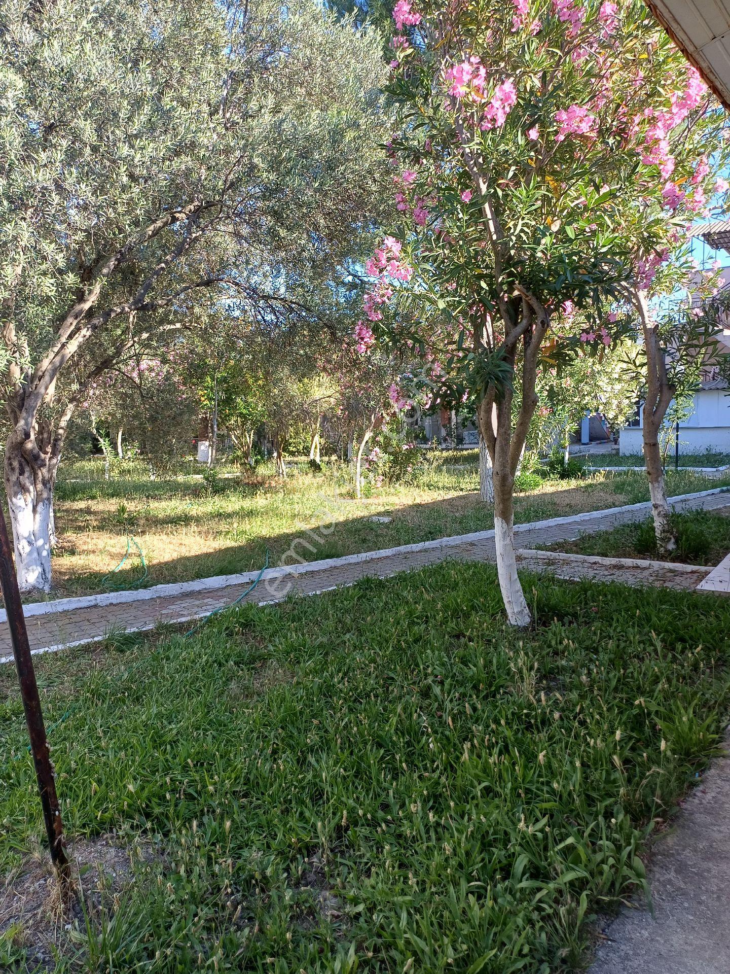 Karavan Fiyatına Sarımsaklı Plajında Mülkünüz Olsun