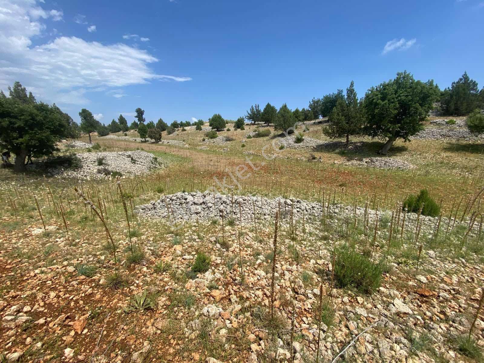 Arkıt Mevkii'nde Satılık Villalık Arsa | 500 M² Fırsat - Görsel 9