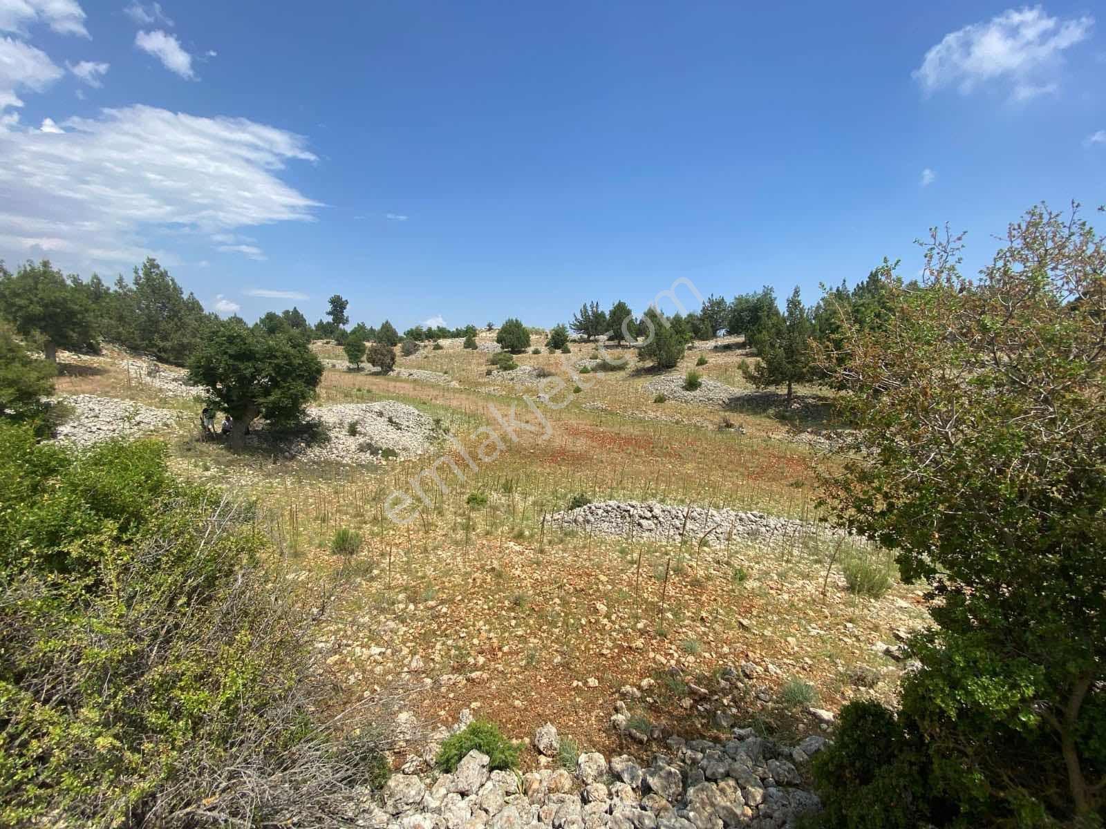 Arkıt Mevkii'nde Satılık Villalık Arsa | 500 M² Fırsat - Görsel 2